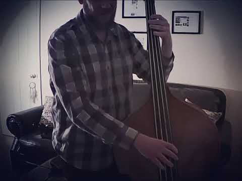 Improvising on Upright Bass with Percussive Technique