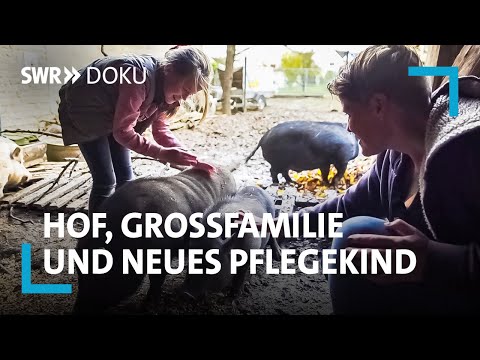 Die Löwenmutter - Hof, Großfamilie und neues Pflegekind | SWR Doku