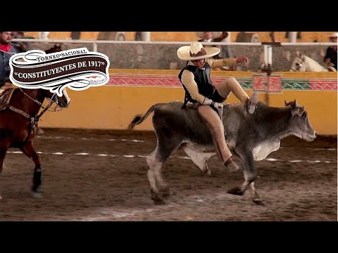Bull Riding February 19 - Constituyentes Tournament of 1917 Arroyo Negro 2022