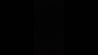 Butterflies(Scratch21 cover)