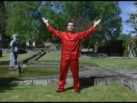 Tai Chi. Principiantes