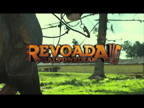 Meu Mouro E O Desespero - Revoada Galponeira