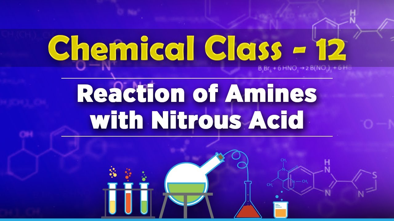 Reaction of Amines with Nitrous Acid - Compounds Containing Nitrogen - Chemistry Class 12