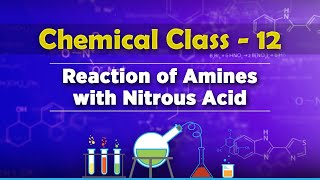 Reaction of Amines with Nitrous Acid - Compounds Containing Nitrogen - Chemistry Class 12