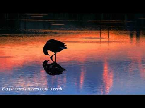 download lagu mp3 mp4 F Comme Femme, download lagu F Comme Femme gratis, unduh video klip F Comme Femme