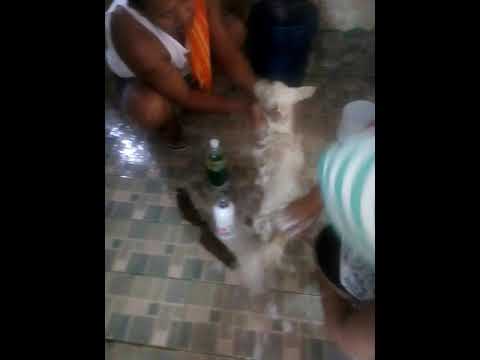 Sobra sa timbang na tao Kanela at pulot para sa pagbaba ng timbang recipe