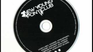 New Young Pony Club - The Optimist