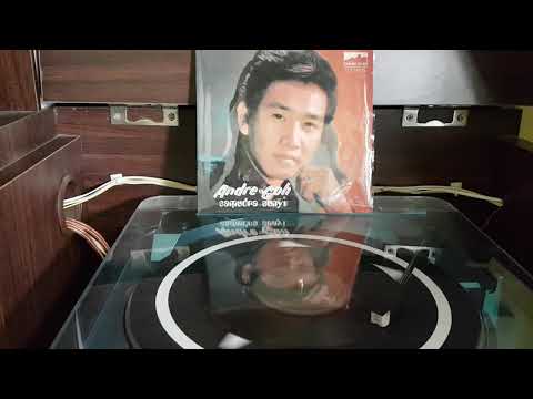 Andre Goh 'Halimun Malam'