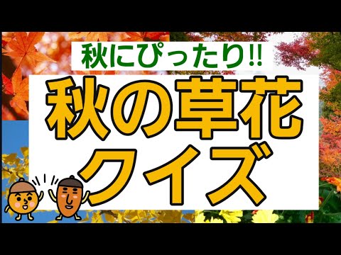 リンゴ:有毒なダークサイドを持つ大好きな果物