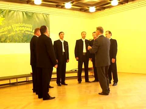 Klapa Tić - Zaspal Pave