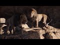 Scrar Y Mufasa Se Discuten