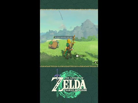 The Legend of Zelda: Tears of the Kingdom –À chacun sa solution
