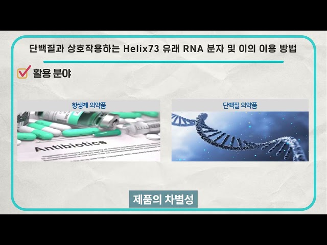 단백질과 상호작용하는 Helix73 유래 RNA 분자 및 이의 이용 방법