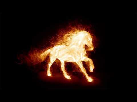 Nightrider - Kontrix