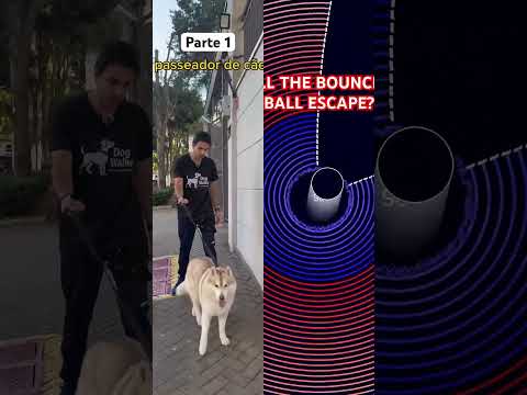 Quem passeia com seu dog? @marcotuliodavi #shorts - Créditos: @Marco Túlio Davi