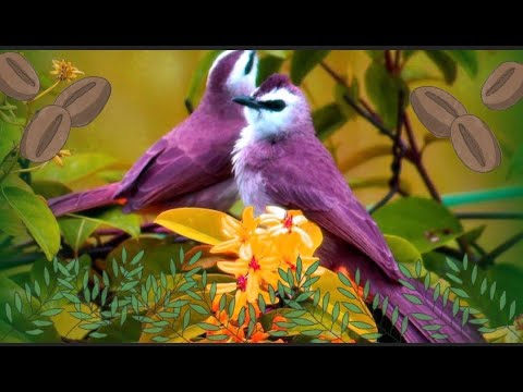 INSTANT STRESS RELIEF. NATURE SOUND