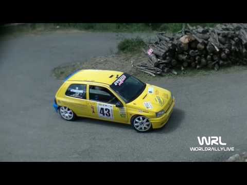 Clip Personalizzata Castelli - Domenichella Renault Clio Williams A7 11° Ronde Val d'Aveto 2016