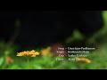 Unne Ipo Pakkanom Song By Krishnendu