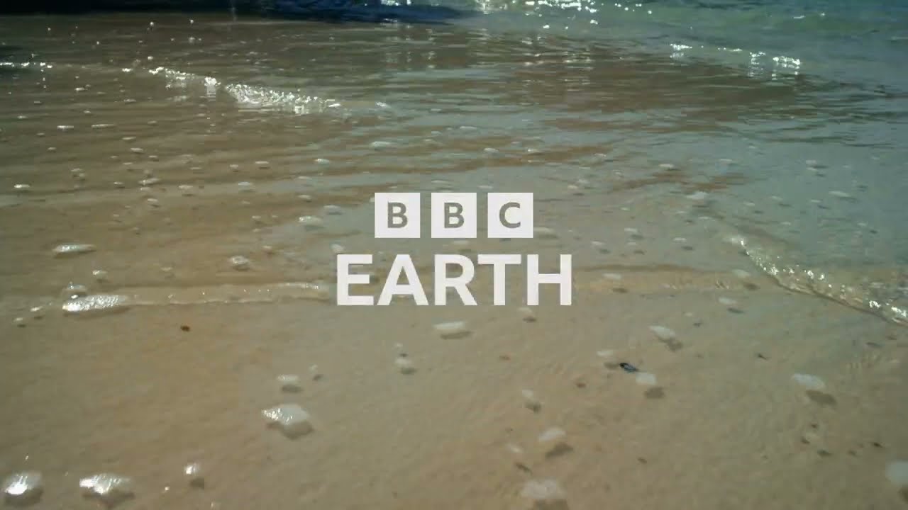 BBC Earth - Escape the Cold - FAST Channel Promo