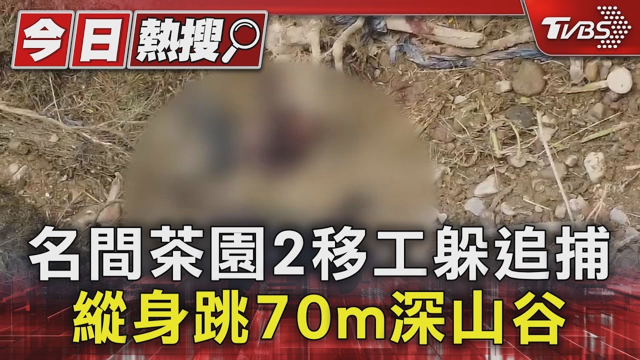 名間茶園2移工躲追捕 縱身跳70m深山谷