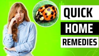 How to Get Rid of Asian Beetles - Quick Home Remedies