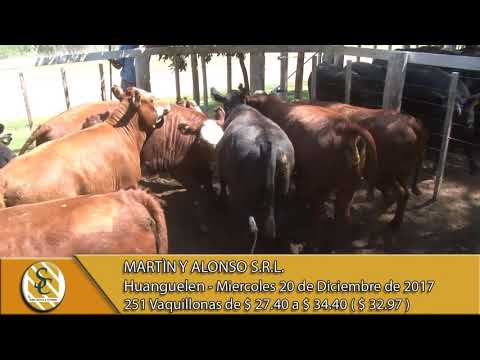 20-12-17 Venta de Hacienda al Kilo - Martin y Alonso S.R.L. - Huanguelen.