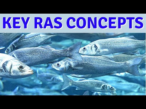 Key Concepts for Healthy Recirculating Aquaculture Systems, RAS Fish Farming