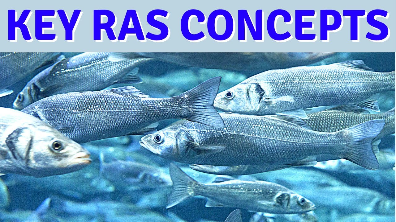 Key Concepts for Healthy Recirculating Aquaculture Systems, RAS Fish Farming