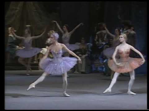 Спящая красавица Григорович  Большой 1989 Боярчиков архив