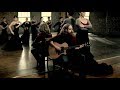 Iron & Wine - Boy with a Coin [OFFICIAL VIDEO]