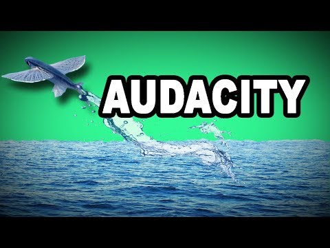 💪🏻❗ Learn English Words: AUDACITY - Meaning, Vocabulary with Pictures and Examples