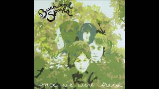 Beachwood Sparks - By Your Side