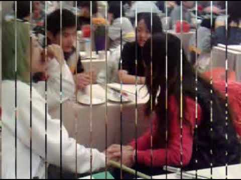 德昌火鳳凰2010010810相片剪輯