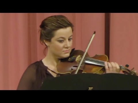 Nicolo Paganini - Sonata Varsávia - CAMERATA POLONIA - Konzert am 29.11.2014 in Wien