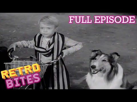 A Very British Visitor | Full Episode | Lassie | Retro Bites