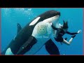 Jessica Radcliffe Orca Attack Horrifying Final Moments Of Orca Trainer What Happened