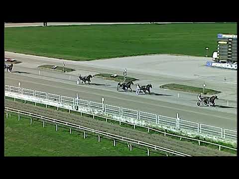 Trotto 26/01/2021 - prova di qualifica