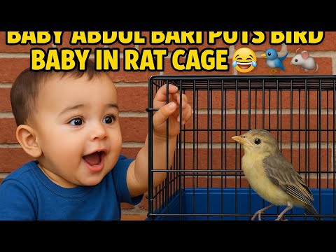 1. "Baby Abdul Bari Puts Bird Baby in Rat Cage 😂🐦🐭"
