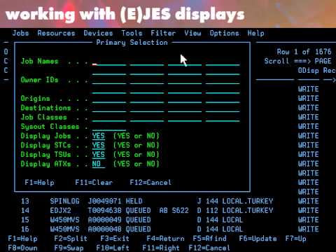 (E)JES Overview 3: Working with (E)JES Displays