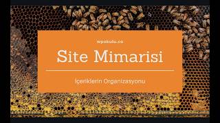 SEO İçin Site Mimarisi Nasıl Oluşturulur? Silolama Yöntemi Nedir? [WPO