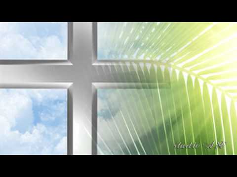 Ivan Puljić (Emanuel) - Tamo gdje palme cvatu