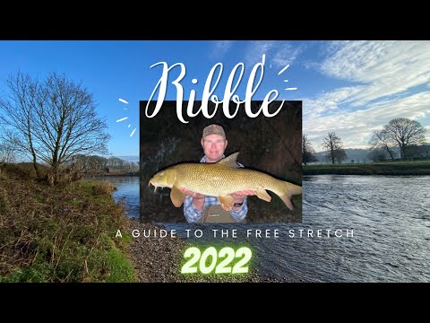 Ultimate Ribble Fishing Guide - Part 1. Free Stretch