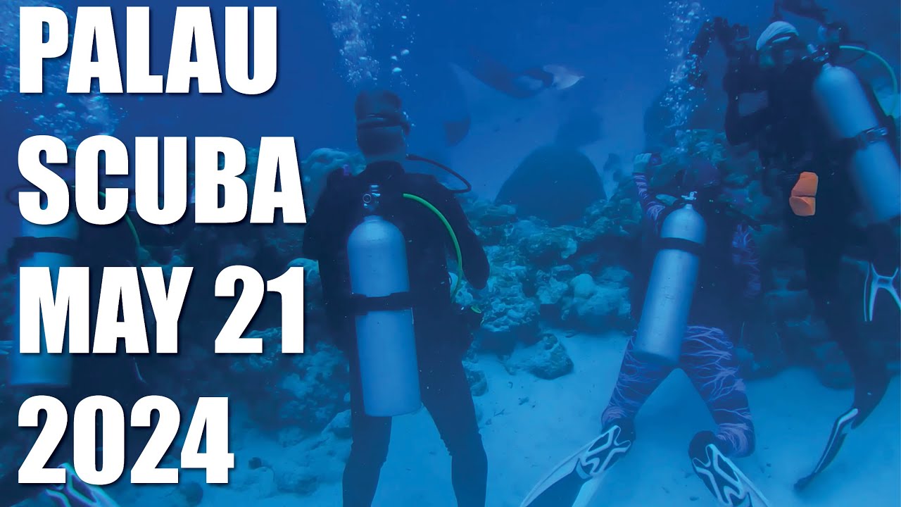 The Magic of Red Snapper Spawning and Manta Rays in Palau | Day 3 Highlights