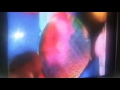 Dino Dance Barney TV Commercial 2003
