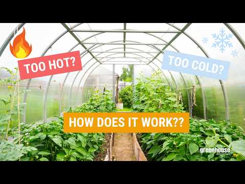 How Do Greenhouses Work? Easy Explanation!