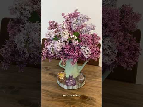 Flieder verliebt! 🥰☺️                       #flieder #lilac #lilla