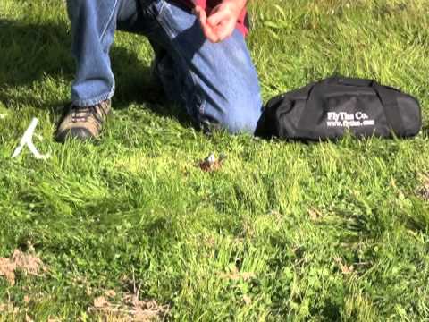 1956 Cessna 180 Skywagon 3