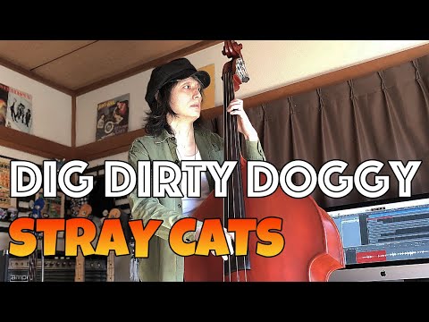 DIG DIRTY DOGGY / STRAY CATS (LEE ROCKER)【DOUBLE BASS COVER】