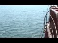Морская прогулка на остров Дзендзик. И аквапарк в Бердянске :) 