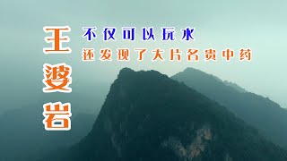 王婆岩可能不是你想的那样，我在里面还发现了大片名贵药材。